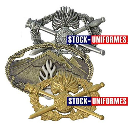 Insignes et brevets métalliques gendarmerie