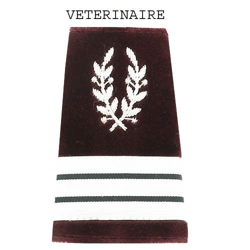 Vétérinaire militaire attributs de grades